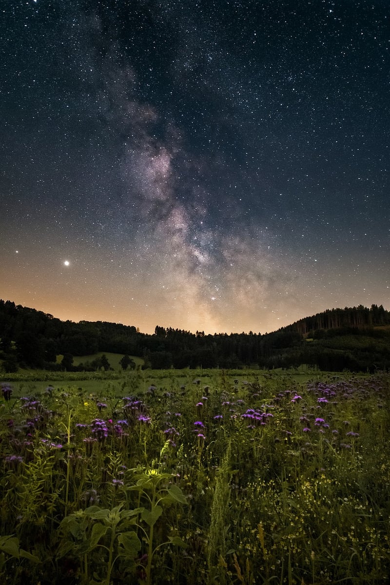 Starry Sky